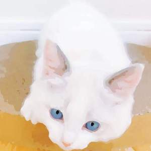 初中生女孩与男孩做爱视频
